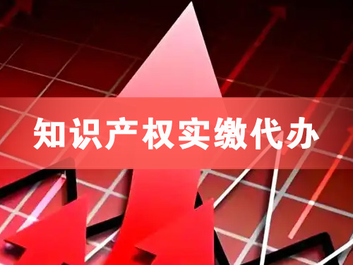 通化知识产权实缴资本代办